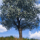 IOS-Wallpaper-4