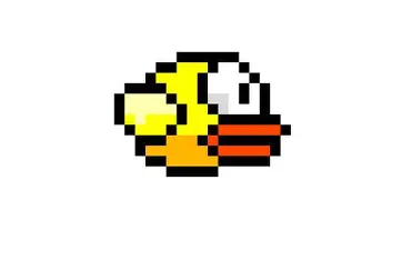 bird.webp