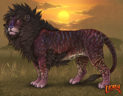 lion-662.png