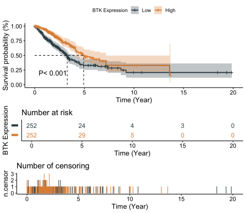 BTK_survival_curve.png
