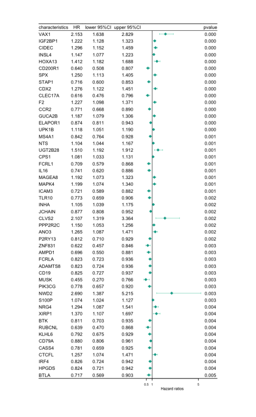 COX_forestplot945969790948b851.png