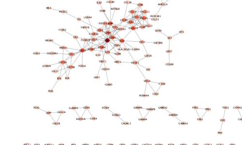 PPI_network_from_Cytoscape.png