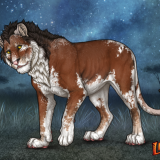 lioden-wardrobe-17