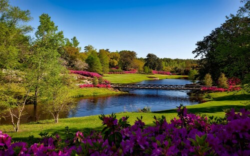 bellingrath-gardens-alabama-landscape-scenic-158063.jpeg