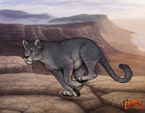 lion-794243823353-1.png