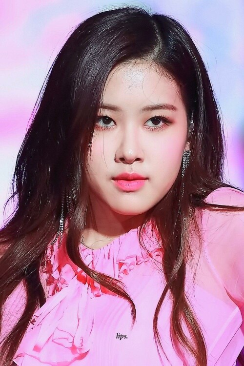 rose.jpg