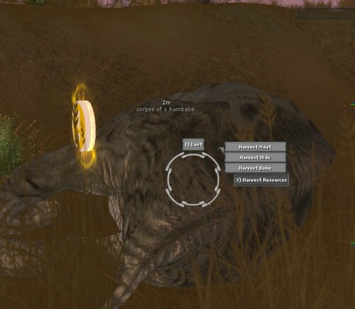 Harvesting.jpg