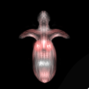 1000000161.png