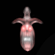1000000168.png