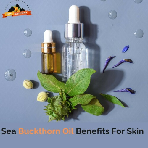 sea-buckthorn-oil-benefits-for-skin.jpg