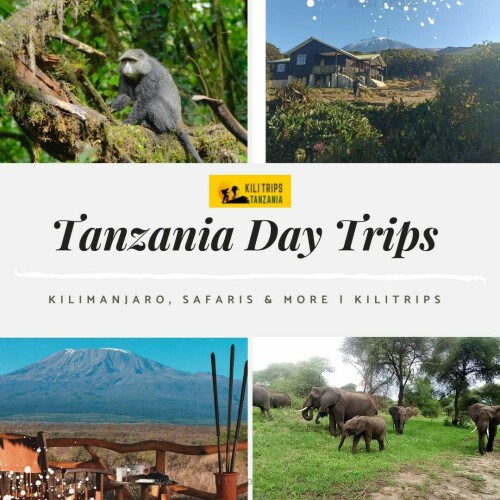 KiliTrip-Tanzania-Day-new-Trips.jpg
