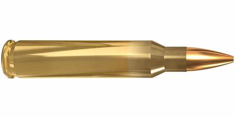 ammo-image.jpg