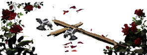 cc6b669611c9.png