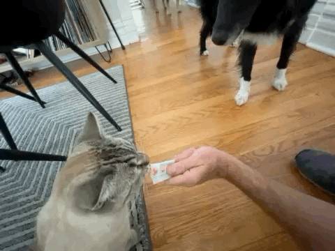 trim.E61E6919-A33D-4969-85B4-BD5EB3CB57FB.gif