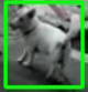 Screenshot-2025-05-23-174319.png