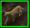 Screenshot-2025-05-23-174833.png