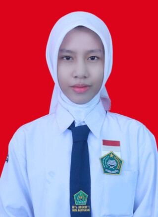 IX.B-ANNISA-NURHABIBAH.jpg