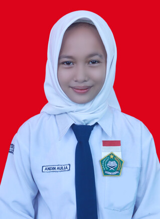 IX.C-ANDIN-AULIA.jpg