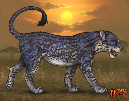 lioden-wardrobebdbbe561a061b7a4.png