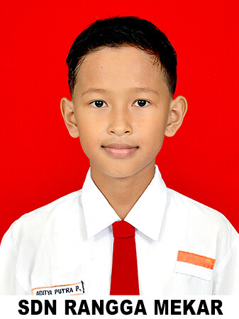 Aditya-Putra-Pratama.jpg
