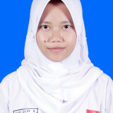 2425-DINI-SILVI-ANGGRAENI