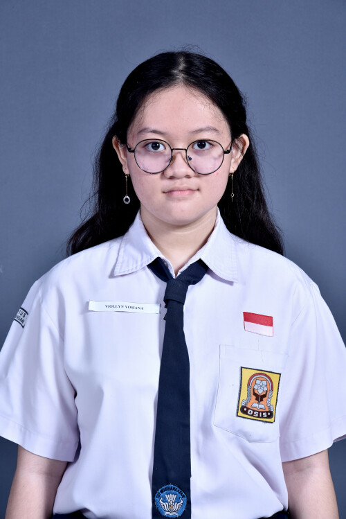 25-VIOLLYN.jpg