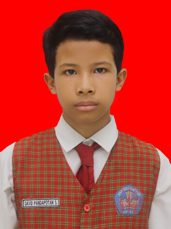 10.-DAVID-PANDAPOTAN-SIAHAAN.jpg