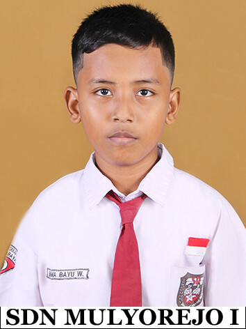 11.-BIMA.jpg