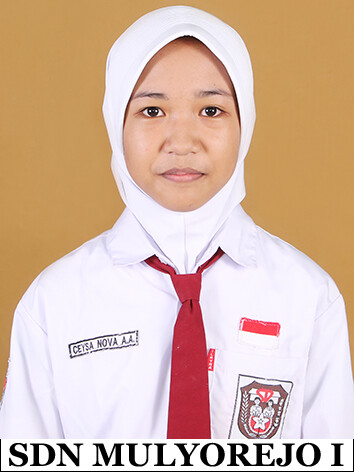 12.-CEYSA.jpg