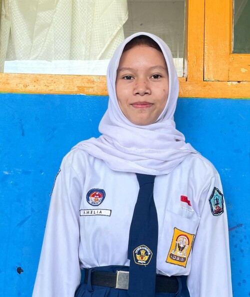 AMEL.jpg