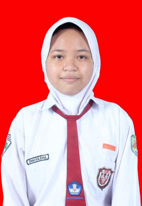 DIAN.jpg