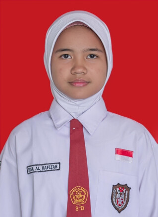 DISA.jpg