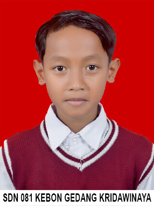 FAISAL-MIRZA.jpg