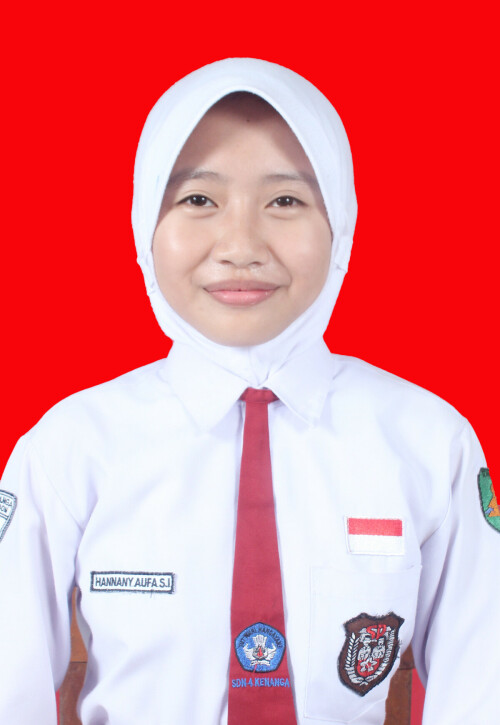HANNANY.jpg