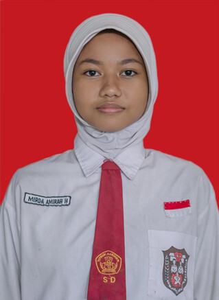 MIRDA.jpg