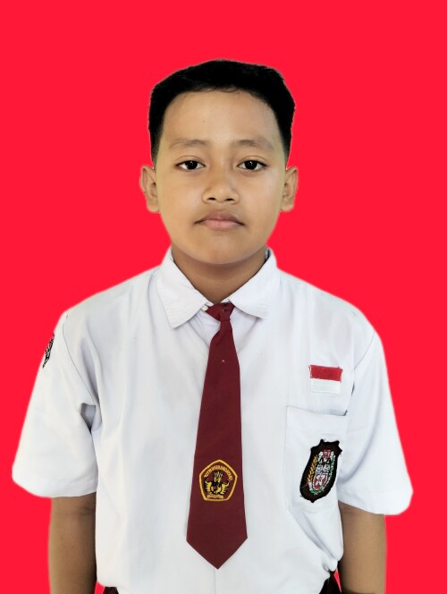 amir.jpeg