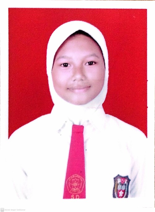 jelita.jpg