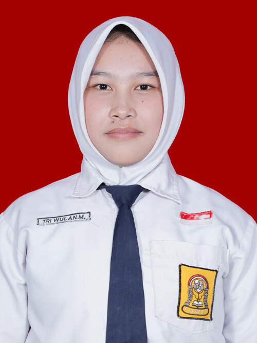 30-TRI-WULAN-MAULIDA.jpg