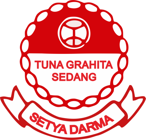 LOGO-YSSD-C2.png