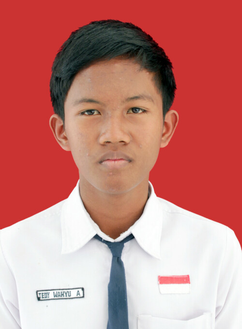TEDY.jpg