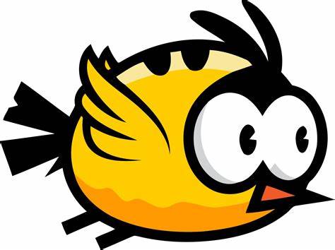 bird.jpeg