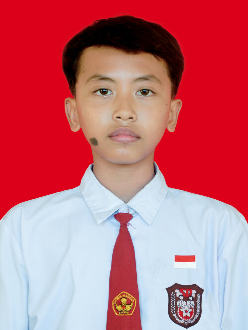 006fc52ded0ebd24205.jpg