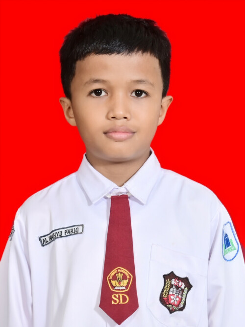 43aad706fb9478ee40.jpg