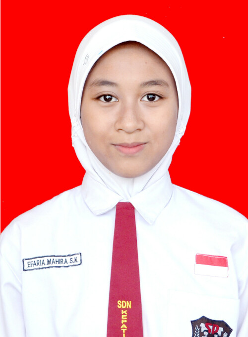 7.-EFARI.jpg