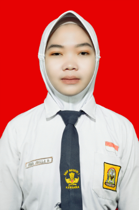 9D-ZYLFA-ABILLA-HUSNA.jpg