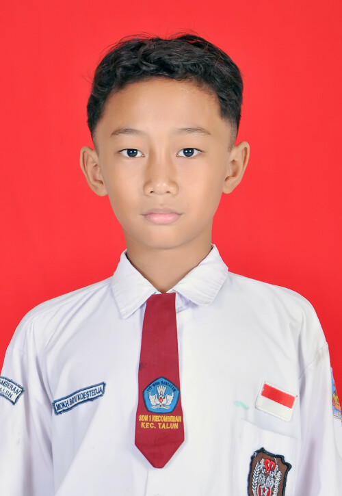 BAYU4fc581ad0e8bfe1d.jpg