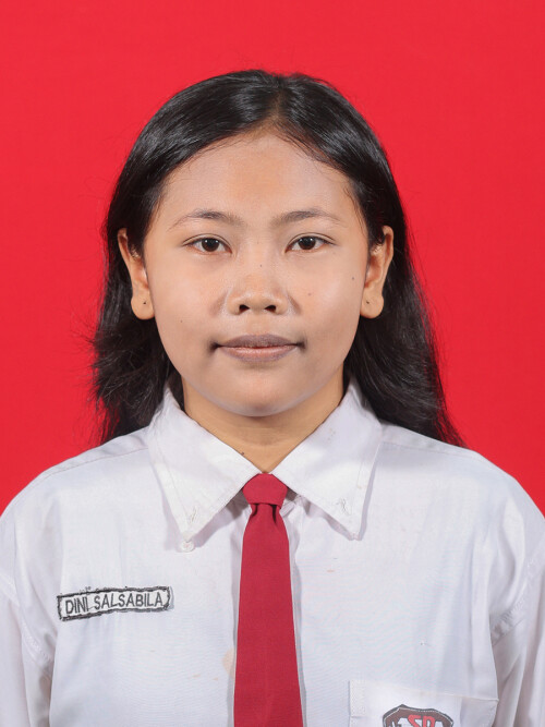 DINI-SALSABILLA.jpg