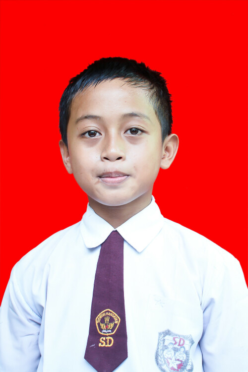 FAUZAN-KAISAR-PUTRA-BISONA.jpg