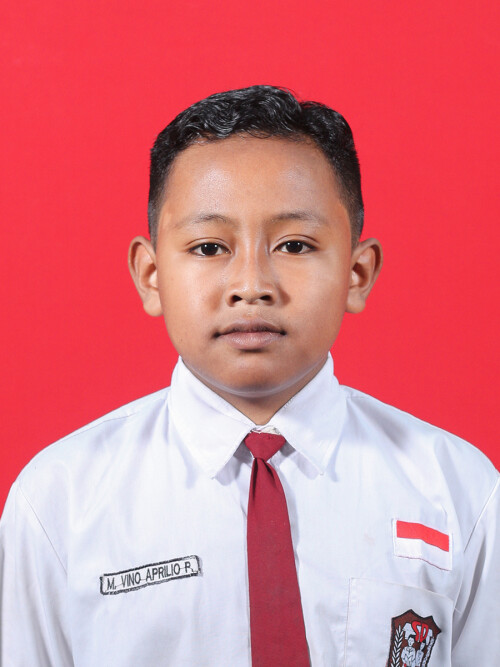 M.-VINO-APRILIO-PRATAMA.jpg