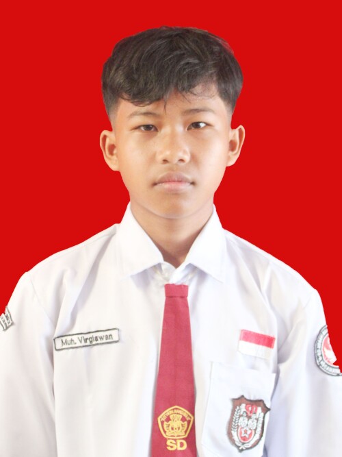 Muhammad-Virgiawan.jpg